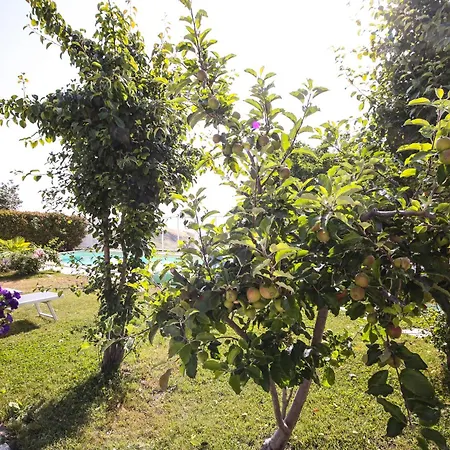B&B Cadiroggio Pensjonat *